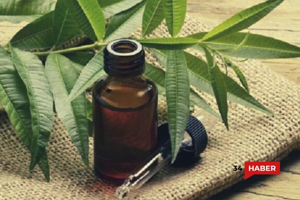 Çay ağacı yağı faydaları 