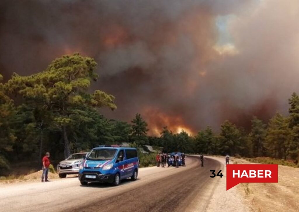manavgat orman yangını