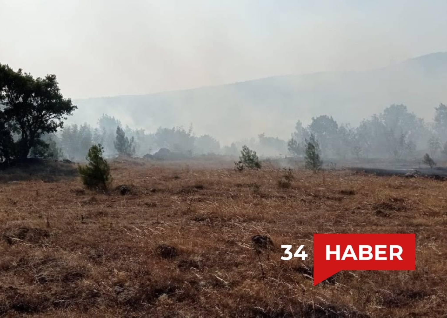 Balıkesir'de orman yangını meydana geldi